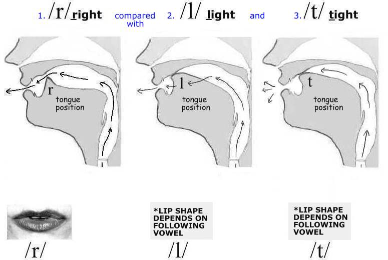 Consonants; 'r, l, t' in right, light, tight - The Voice Cafe